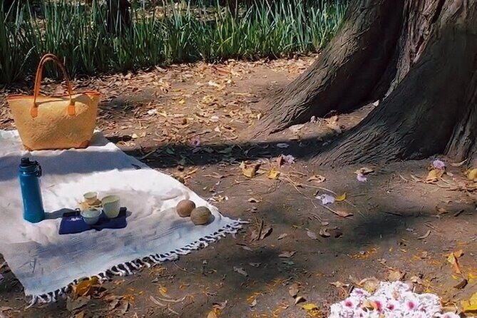 Traditional Chinese Tea Ceremony in the Heart of Mexico City - Detailed Breakdown of the Tour