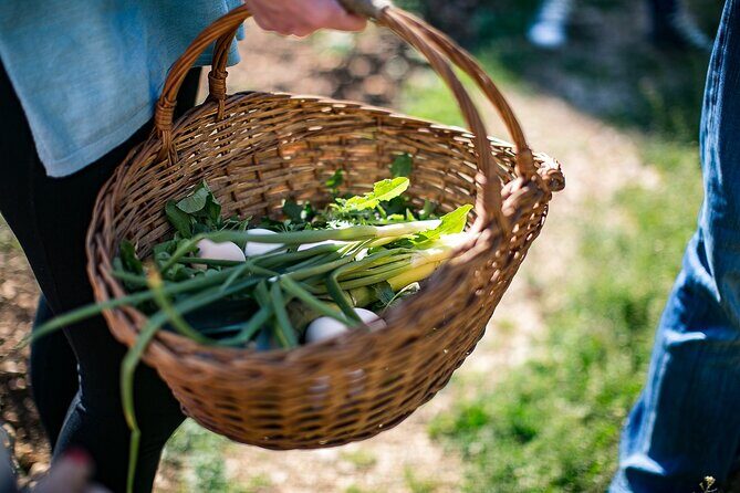 Traditional Cooking Class in Dubrovnik Countryside - Final Thoughts