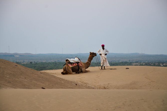 Traditional Desert Experience - An Honest Look at the Traditional Desert Experience