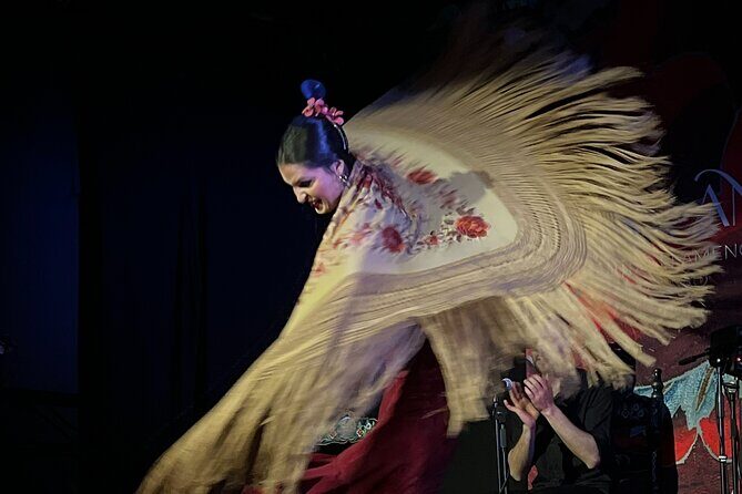 Traditional Flamenco Show at Tablao Casa Ana - What Some Guests Didn’t Love