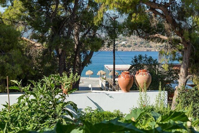 Traditional Greek Cooking Class and Organic Lunch on Poros - FAQ