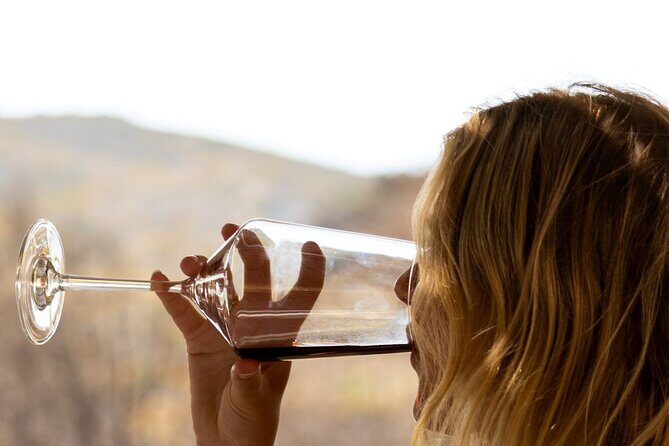 Traditional Greek COOKING class and Wine Tasting in Rhodes - The Cooking Segment: Short but Sweet