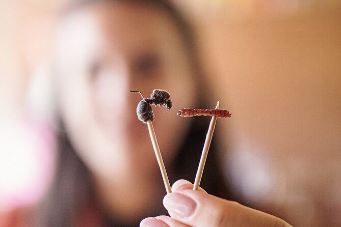 Traditional Oaxacan Cooking Class - The Iconic Mole and Seasonal Specialties