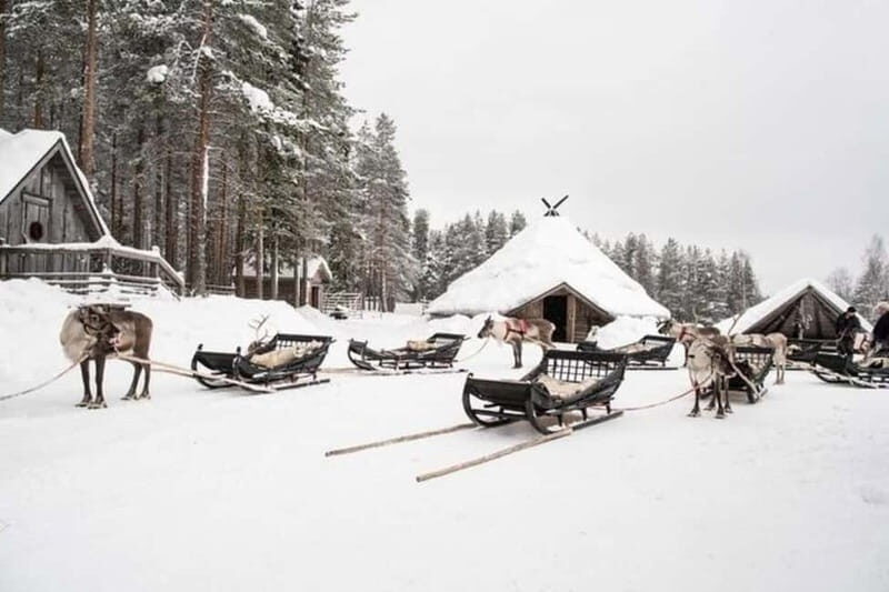 Traditional Reindeer Farm Visit with a Short Sleigh Ride - FAQ