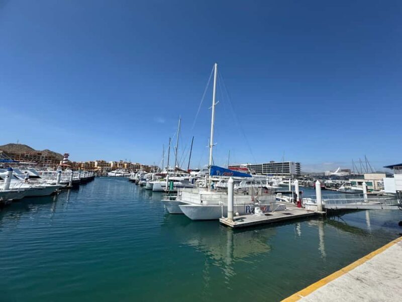 Traditional tour to the Arch of Cabo San Lucas. - Additional Details