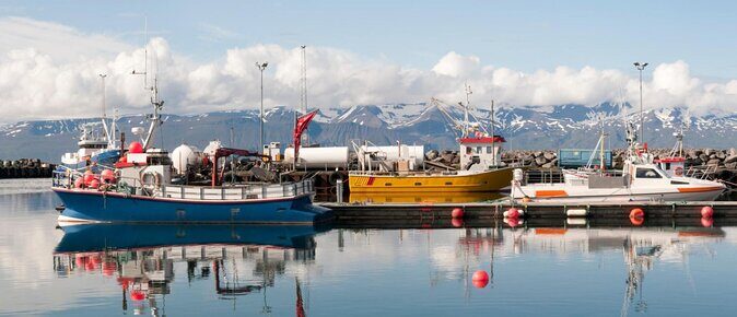 Traditional Whale Watching from Húsavík by Local Family Company - Key Points