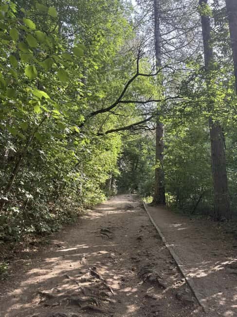 Trail Running Adventure - Key Points