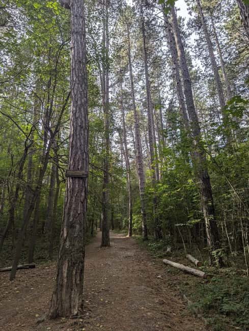 Trail Running Adventure - Practical Details: What to Know Before You Go