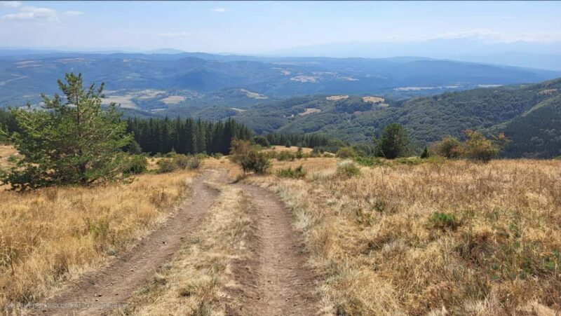 Trail Running Adventure - FAQs