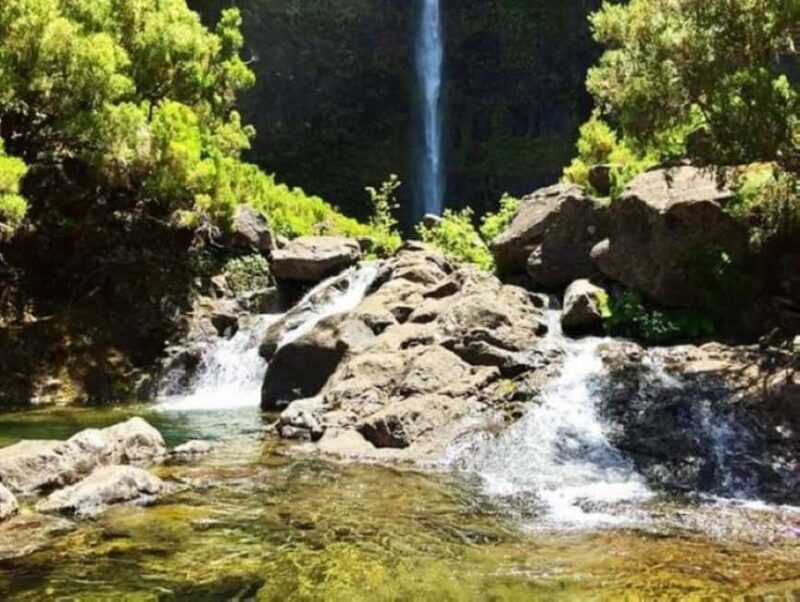 Trail to Wind Lagoon  Explore Levada do Alecrim - Analyzing the Experience: What Makes It Special
