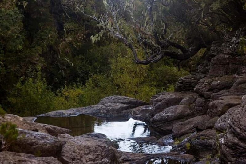 Trail to Wind Lagoon  Explore Levada do Alecrim - Pricing & Value