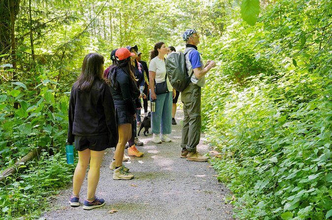 Trails Through Time Bellevue Coal Creek History Hike - Concluding the Journey