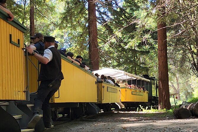 Train Ride Adventure through Mother Natures Giant Redwoods Park - A Detailed Look at the Experience