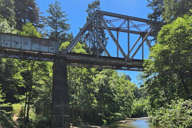 Train Ride Adventure through Mother Natures Giant Redwoods Park - Final Wrap-up
