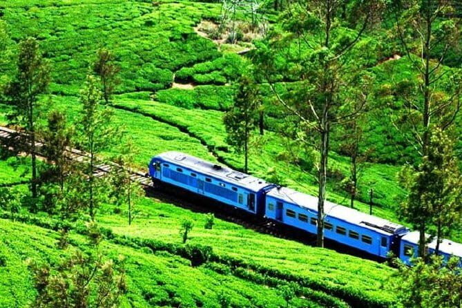 Train tickets from Kandy to Nuwara Eliya or Hatton Station - Who Should Consider This Service?