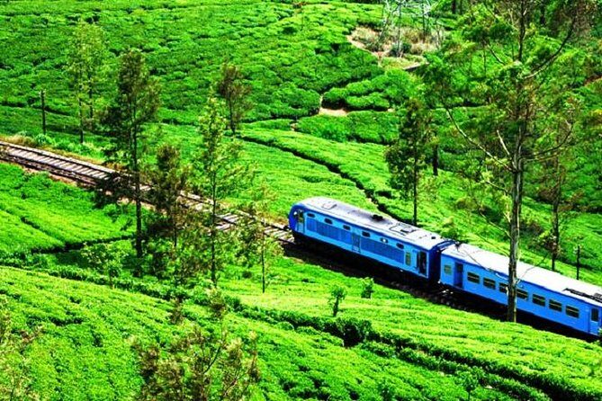 Train Tickets from Nanuoya (NuwaraEliya) to Ella - The Scenic Railway from Nanuoya to Ella: What to Expect