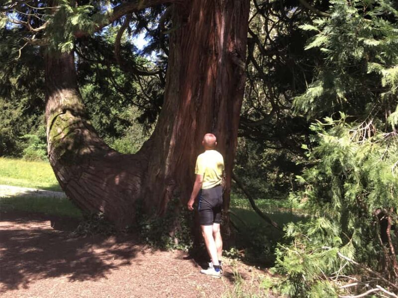 Trakoan: Lakes and Mystical Castles Guided Bike Tour - Key Points