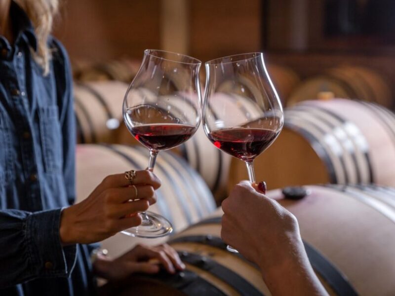 Tramin/Termeno: Winery Tour & Wine Tasting, J. Hofstätter - Key Points