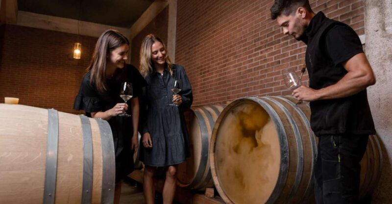 Tramin/Termeno: Winery Tour & Wine Tasting, J. Hofstätter - The Experience in Detail