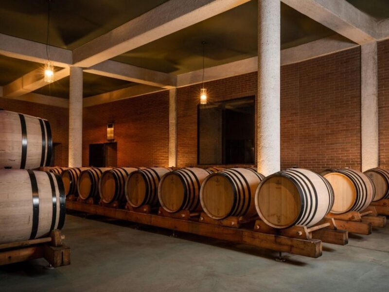 Tramin/Termeno: Winery Tour & Wine Tasting, J. Hofstätter - Who Would Enjoy This Experience?