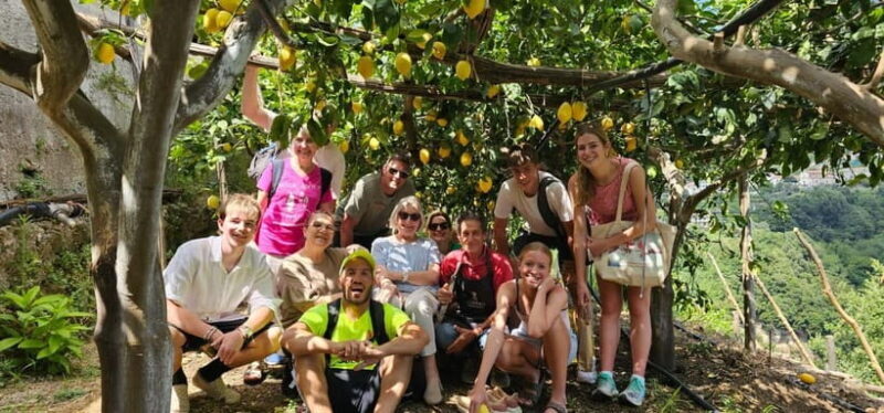 Tramonti: Lemon Tour at "Formichelle" Farm on Amalfi Coast - An In-Depth Look at the Lemon Tour Experience