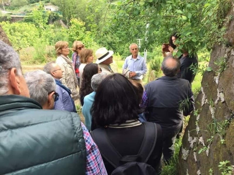 Tramonti: "Re Fiascone" Tomato Tasting - Who Will Love This Experience?