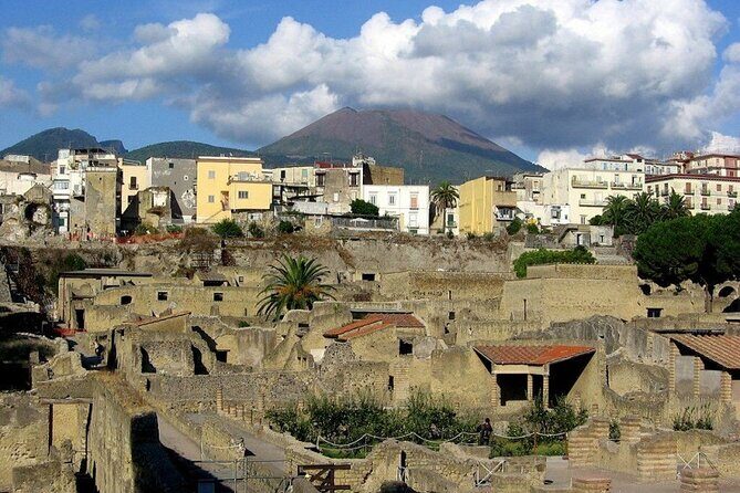 Tramvia Napoli: Transfer to Herculaneum Ruins + Vesuvius - What the reviews reveal about the experience