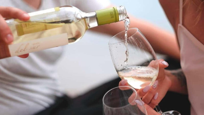 TRANI: Exclusive Panino Tasting - Key Points