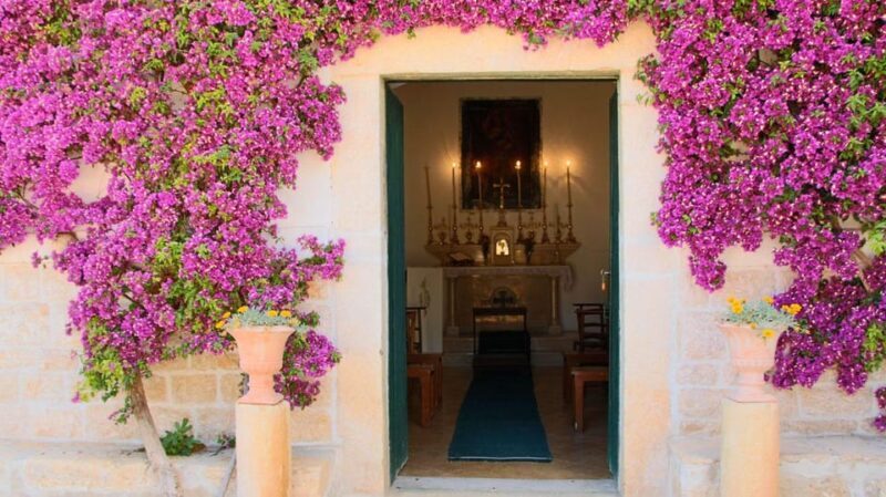 Trani Wine Tours: Flavors of Puglia - The Sum Up