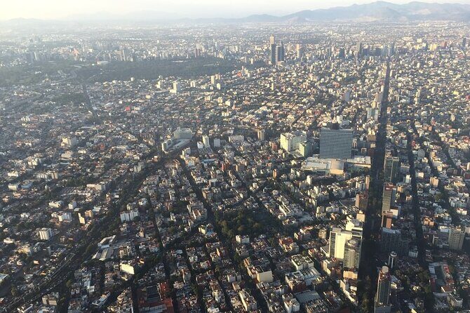 Transfer & assistance one-way from/to Mexico City Airport/hotel - What to Expect: A Close Look at the Transfer Service