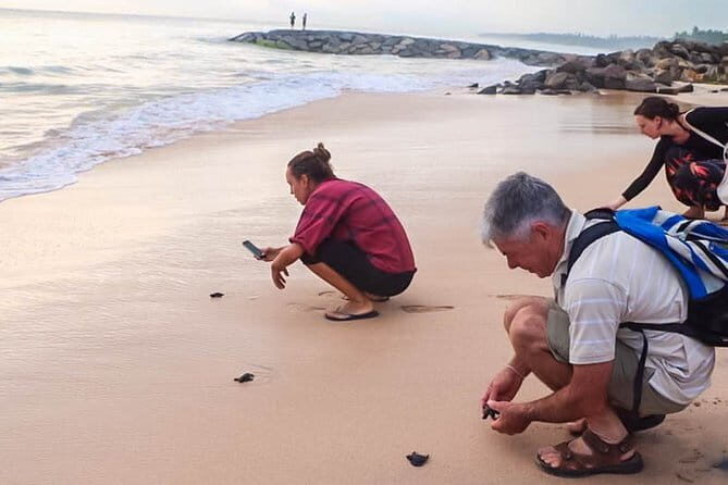 Transfer between Colombo Airport (CMB) and Beach Hut, Arugam Bay - The Journey: What to Expect