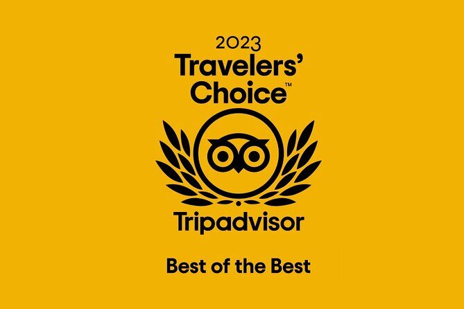 Transfer between London & Southampton - Cruise Terminal or Hotel - The Experience: What You Can Expect