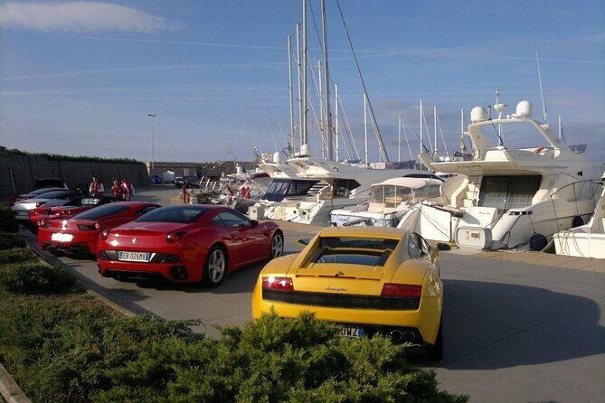 Transfer Civitavecchia Cruise Port>Rome/FCO/or Private Revers - An Honest Look at the Transfer from Civitavecchia to Rome or FCO