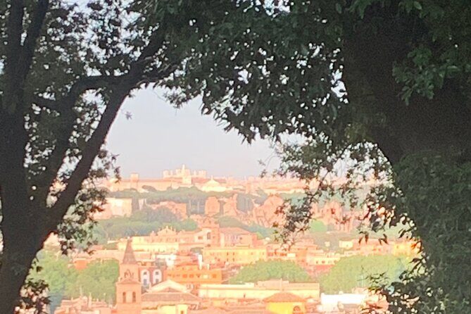 Transfer Civitavecchia port to Rome - Who Should Book This Transfer?