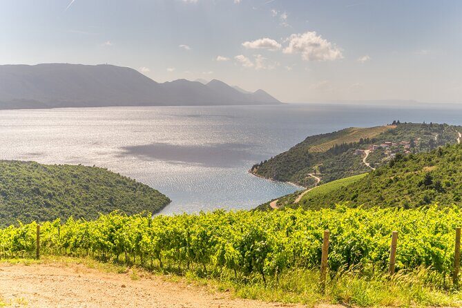 Transfer Dubrovnik to Split with Sightseeing in Ston Town - Frequently Asked Questions