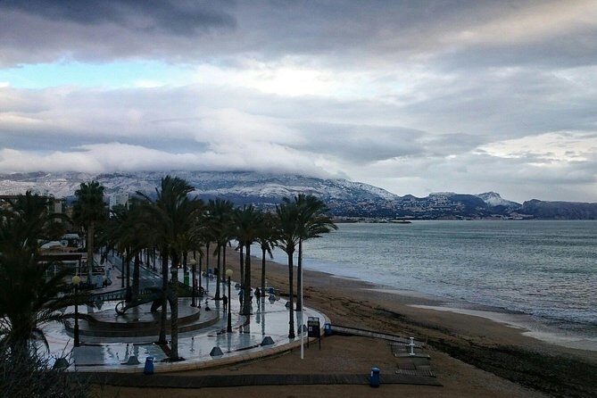 Transfer from Alicante airport to Albir in private Sedan car max. 3 passengers - The Sum Up