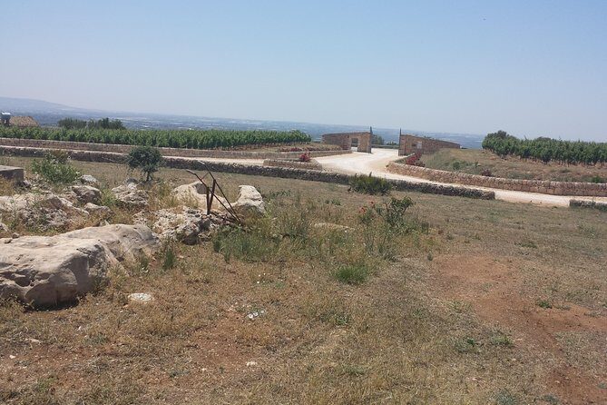 Transfer from and to Catania Airport Taormina Giardini Naxos Letojanni Mazzarò. - FAQ