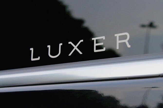 Transfer from Fusina Cruise Terminal to Venice - The Experience: What to Expect from this Transfer Service