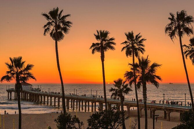 Transfer from Los Angeles City Center to LA Airport (LAX) - Authentic Insights from Travelers