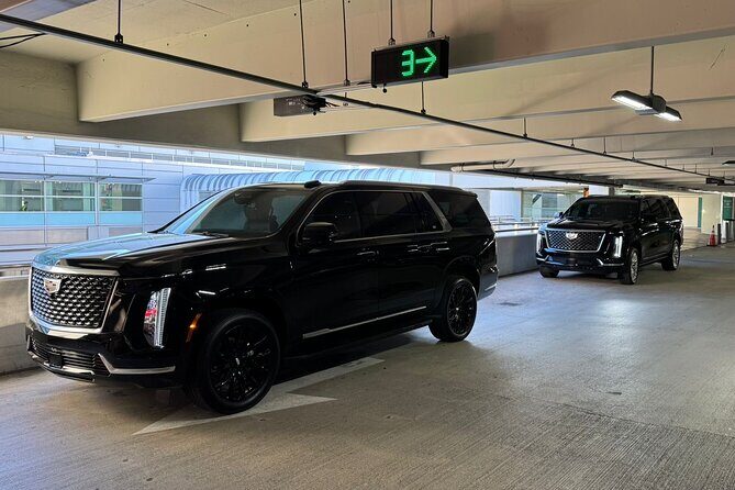 Transfer from Miami International Airport to Hotel or Cruise Port - The Experience: What to Expect from Your Miami Transfer