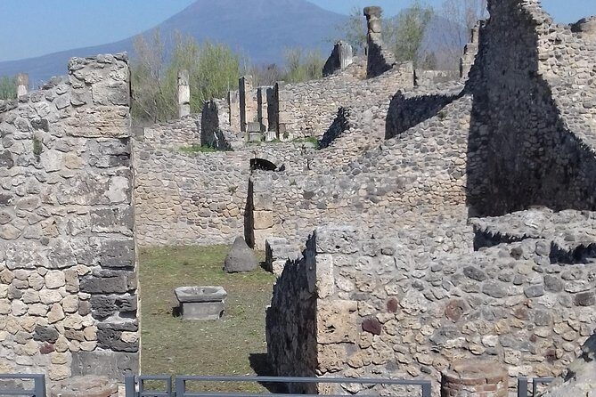 Transfer From Naples area to Sorrento with 2hr stop in Pompeii - What to Expect from the Naples to Sorrento Tour with Pompeii Stop