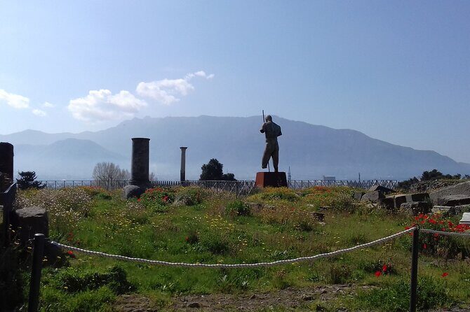 Transfer From Naples area to Sorrento with 2hr stop in Pompeii - Final Thoughts