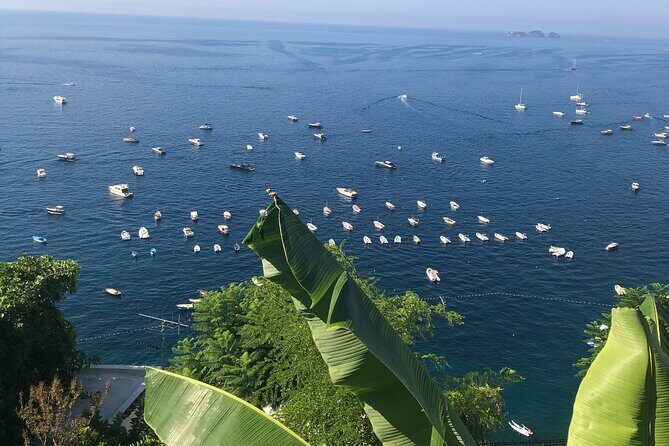 Transfer- from Ravello to Rome & Vice Versa - An In-Depth Look at the Transfer Experience