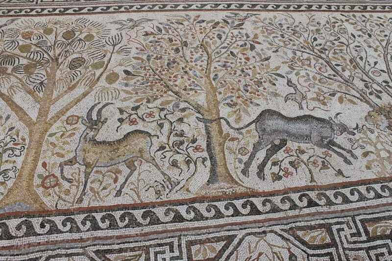 Transfer from Skopje to Ohrid With Stop at Bitola - What’s Included and What to Keep in Mind