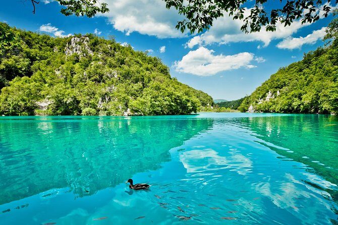 Transfer from Split to Zagreb with Entry Ticket to Plitvice Lakes - A Deep Dive into the Experience