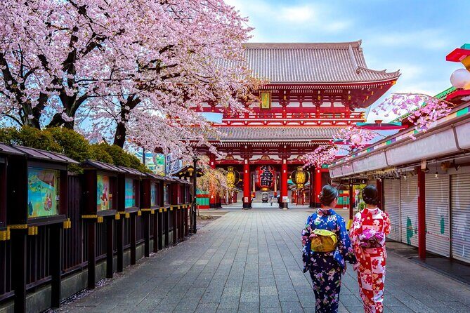 Transfer from Tokyo City Center to Haneda Airport (HND) - Booking, Confirmation, and Cancellation Policies