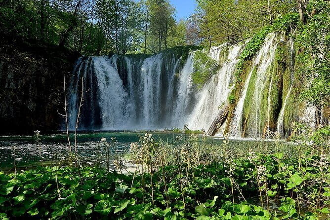 Transfer from Zadar airport to Vir - Final Thoughts