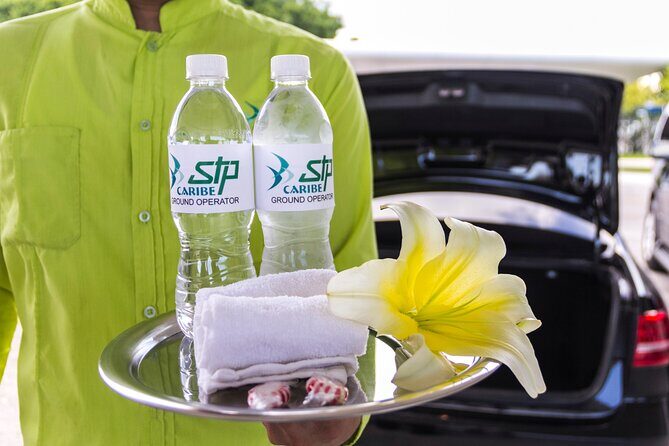 Transfer in Luxury Mercedes Benz Minivan - Who Will Love This Service?