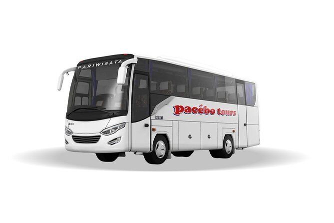 Transfer In/Out Makassar Airport - Hotels - Who Should Consider This Transfer Service?