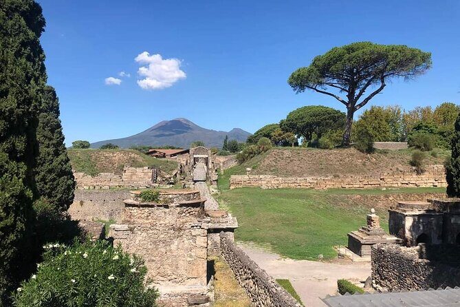 Transfer Naples airport/station to Sorrento with stop in Pompeii - Who Should Consider This Tour?
